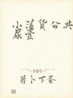 小荡货公共精厕尿壶封面