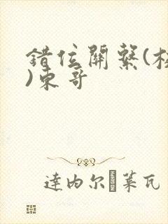 错位关系(校园)东哥