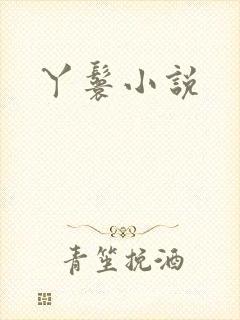 丫鬟小说