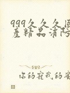 999久久久国产精品消防器材封面