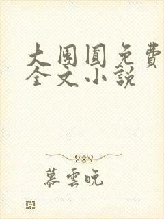 大团圆免费阅读全文小说封面