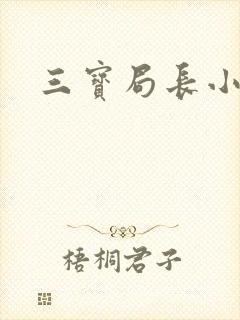 三宝局长小说