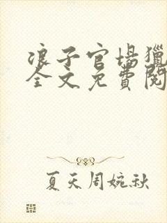 浪子官场猎艳记全文免费阅读