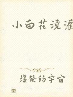 小白花浇灌日常封面