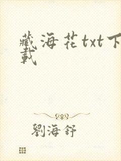 藏海花txt下载