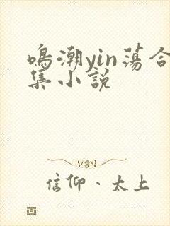 鸣潮yin荡合集小说封面