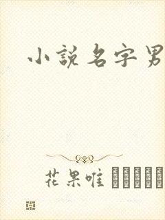 小说名字男生