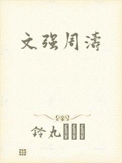 文强周涛