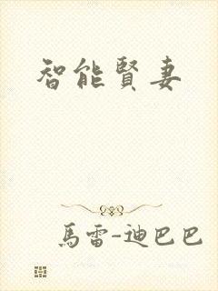 智能贤妻封面