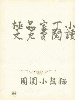 极品家丁小说全文免费阅读