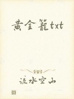黄金笼txt