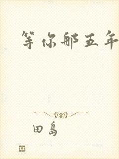 等你那五年