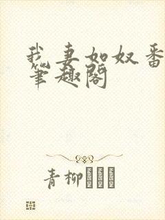 我妻如奴番外篇笔趣阁封面