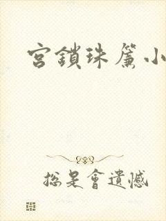 宫锁珠帘小说