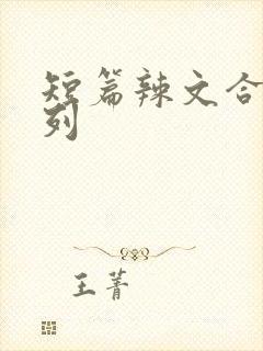 短篇辣文合集系列