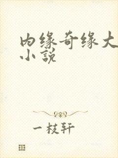 内缘奇缘大团圆小说封面