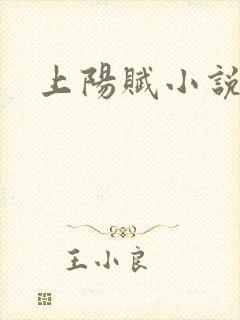 上阳赋小说