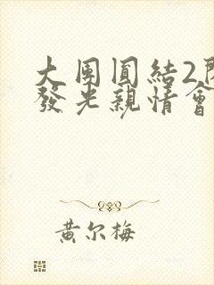 大团圆结2闪闪发光亲情会