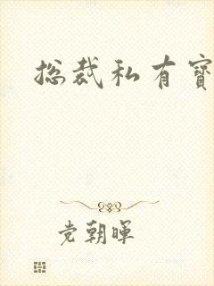 总裁私有宝贝