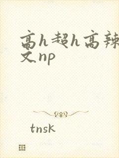 高h超h高辣h文np封面