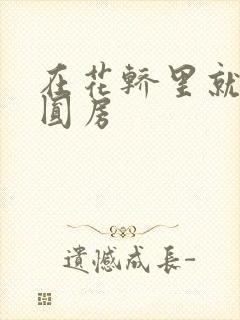 在花轿里就开始圆房封面