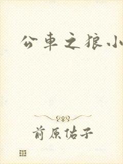 公车之狼小说