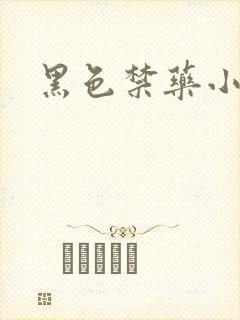 黑色禁药小说