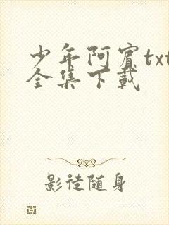 少年阿宾txt全集下载封面