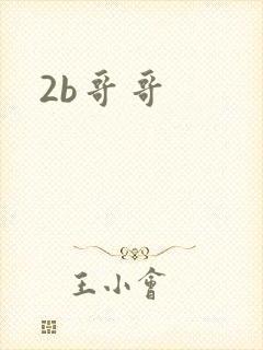 2b哥哥封面