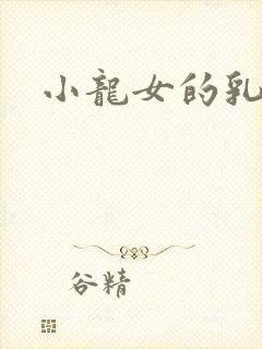 小龙女的乳头封面
