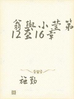 翁与小莹第十部12至16章封面