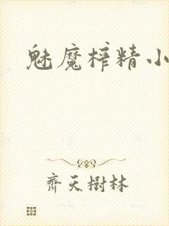 魅魔榨精小说