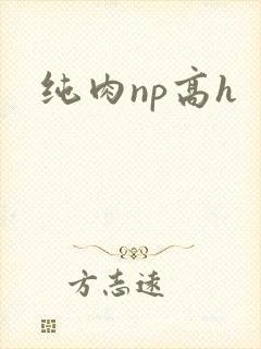 纯肉np高h封面