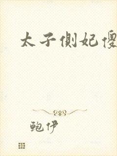 太子侧妃傻乎乎