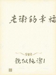 老卫的幸福生活封面