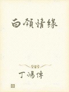 白领情缘