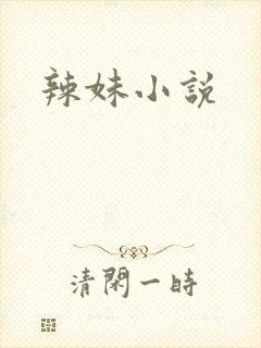 辣妹小说
