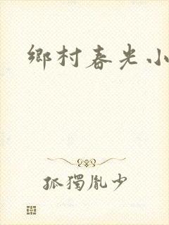 乡村春光小说封面