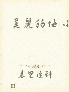美丽的他 小说