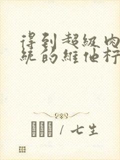 得到超级肉禽系统的维他柠檬茶