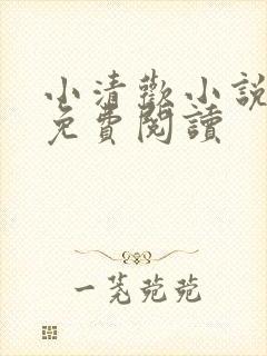 小清欢小说全文免费阅读