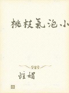 桃枝气泡小说