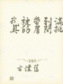 我被带到满是玩具的房间挑调作文
