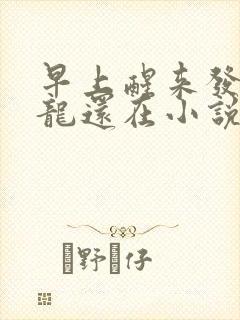 早上醒来发现巨龙还在小说