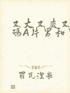 又大又爽又黄无码A片男和男