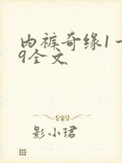 内裤奇缘1一39全文