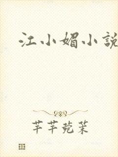 江小媚小说封面