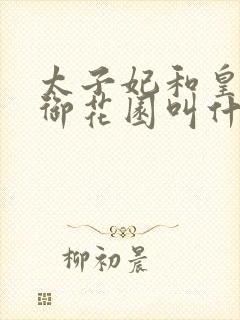 太子妃和皇帝在御花园叫什么小说