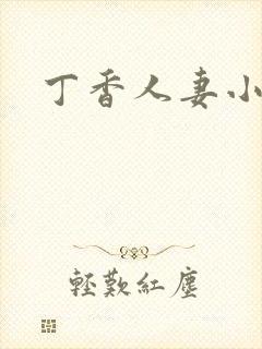 丁香人妻小说封面