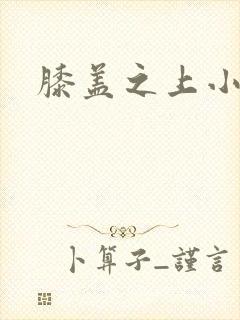膝盖之上小说封面